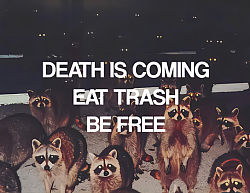 eat trash be free