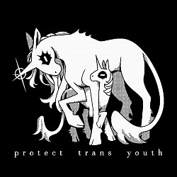 protect trans youth