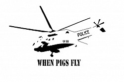 when pigs fly