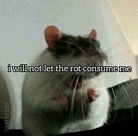 I will not let the rot consume me